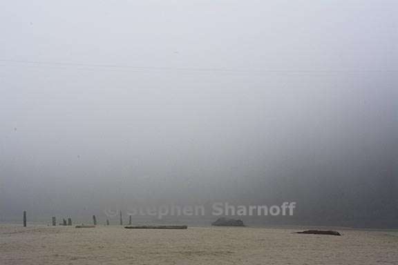 big river fog 1 graphic